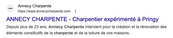 Capture d'écran d'un meta description pour exemple - Charpentier